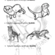 V ZOOLOGICKÉ ZAHRADĚ - pracovní listy 4