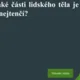 AZ KVÍZ: Lidské tělo 4