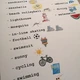 BINGO - Summer 2