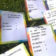 Outdoor quiz - Past tense (minulý čas) 2