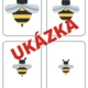 LOUKA 5