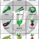 AJ - vegetables (zelenina) - opis, překlad, slovíčka 3