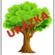 LOUKA 8