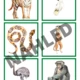 Zoologická zahrada - pracovní listy 4