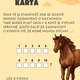 STEZKA - O KONÍCH  4