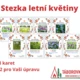 Stezka Letní květiny 2