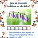 Stezka Letní květiny 3