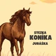 STEZKA - O KONÍCH  6
