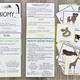 Biomy 2