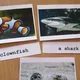 Třísložkové karty/Pexeso Sea Animals 2