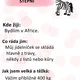Zvířata v Zoo I 2