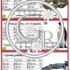 ZVÍŘECÍ REKORDY- opakujeme násobilku 3