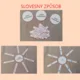 Slovesa - čas, způsob 4
