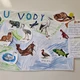 Zvířata u vody 3