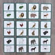 I have, who has? - Animals 3