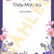 Výzdoba třídy - Motýlci 4
