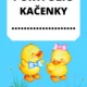 Třída kačenek 7