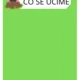 Třída krtečků 5