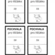 Třída liščat 6