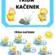 Třída kačenek 2