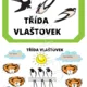 Třída vlaštovek 2
