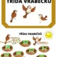 Třída vrabčáčků 2