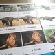 Třísložkové karty/Pexeso Animals 3
