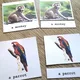 Třísložkové karty/Pexeso Animals 2