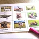Bingo - Animals 2