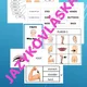 The human body for beginners velký set 3