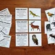HÁDEJ KDO JSEM - zvířata /domácí, lesní, ze ZOO/ 4