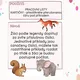 ZAŠIFROVANÉ PŘÍKLADY SE ZVÍŘÁTKY - SČÍTÁNÍ A ODČÍTÁNÍ DO 10 3