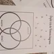 Vennovy diagramy - 14 gradovaných zadání 5