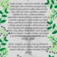 Putování za kouzelnou fontánou 2