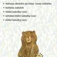 Lesní zvířátka, prostorová orientace 3