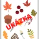 BARVY PODZIMU 3