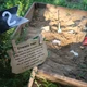 Pirátská stezka - staň se malým pirátem 8