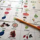 Bingo - Autumn 4