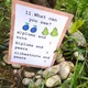 Autumn - Outdoor quiz Game 6