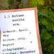 Autumn - Outdoor quiz Game 2