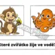 Zvířátka 2
