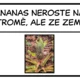 ZAJÍMAVOST DNE - 1. díl  3