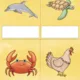 ANIMALS I. obrázky zvířat 2