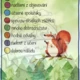 🌲 LES - úvod školního roku 5