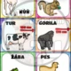 Jsi vysoký jako... porovnej se a užij si zábavu! 3