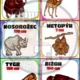 Jsi vysoký jako... porovnej se a užij si zábavu! 4