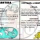 Světadíly - základní informace + mapa světa 5