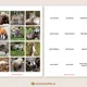 Naši savci - 40 druhů savců, 3-složkové kartičky, flashcards 5