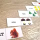 DOMINO - Colours, Shapes, Numbers, School 4