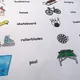 Picture reading - SPORT 2